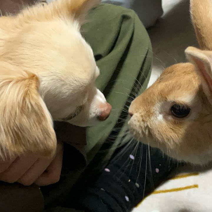 17a7a90b cf21 4db6 8425 03936212ef9c 1737017936510