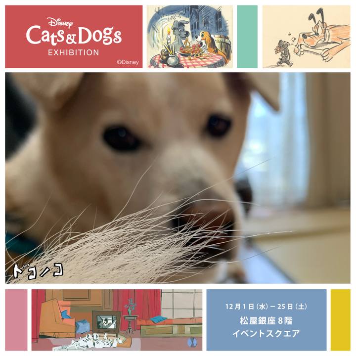 17a7f148 9231 4aab 94ee 58939af77910 1638530994512