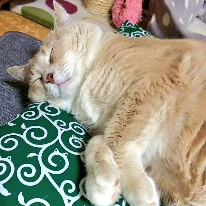 17a7ffe9 02a7 4ccb a62f b15951ad13b9 1556631839796