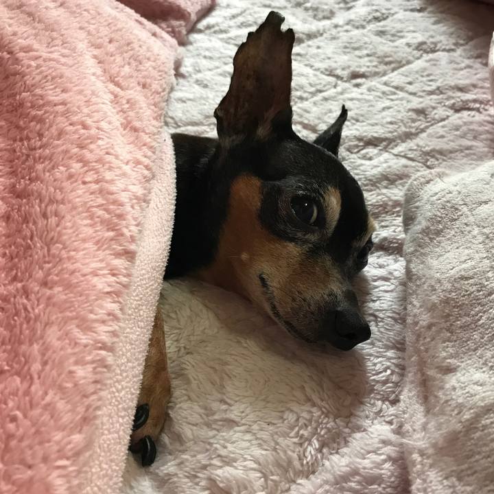 17a81242 b612 42c7 a30a adc42e0a1539 1525613672153