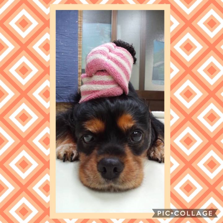 17a815fa 7f13 42ca 83ed b1f69d6ddac7 1533278526059