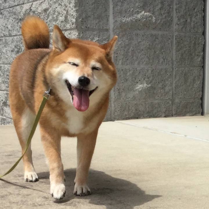 17a875c5 9ba5 4002 96c7 89c90a854589 1590559339357