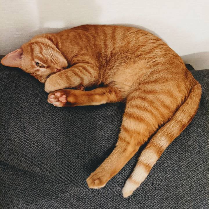 17a8e4dc 1752 4749 ada7 26c9dd66bd4c 1626325097410