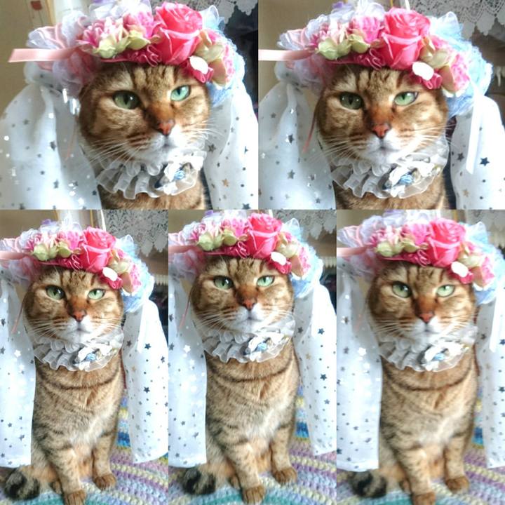 17a91b06 de5c 4c15 b6f6 fba7796a9b67 1767645731005