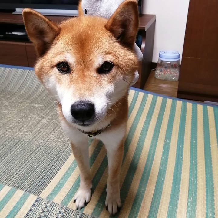 17a91edc 4242 40c4 8561 002d790d723f 1594026025289