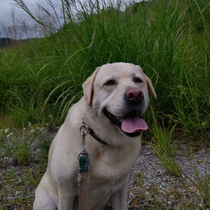 17a95387 7b6f 456a a5e4 5309314a0a9f 1692701024289