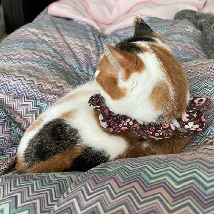 17a955d9 81c1 4e77 a59e a4ee624b5aed 1733959855976