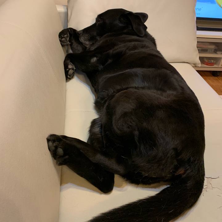 17a95a14 d8b1 41a0 8e60 0d985e2041ca 1551571783771