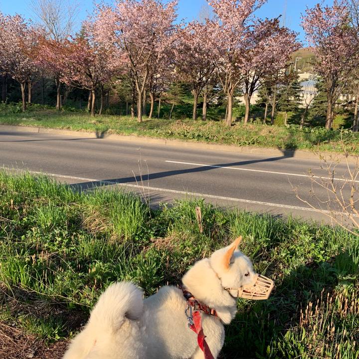 17a97216 8773 4f73 9c8d 94d5cbe49890 1556926597079