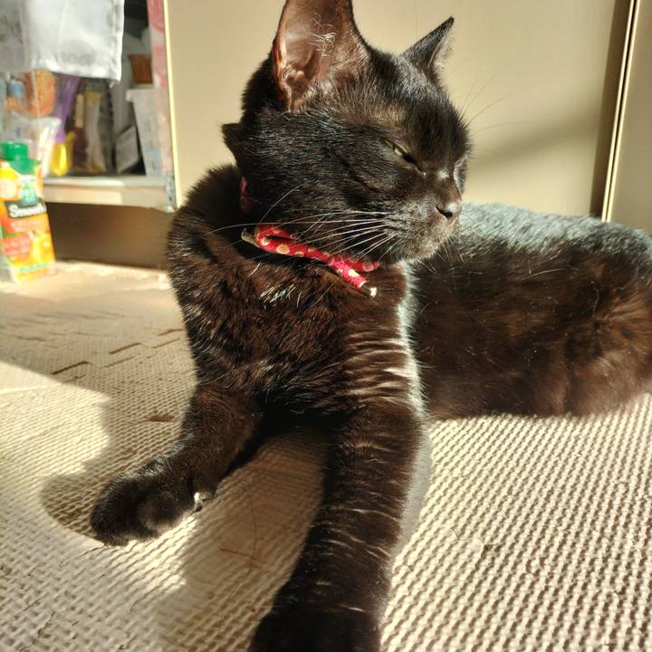 17a9a475 bad6 484b a90b bc0f4648018e 1632177681065