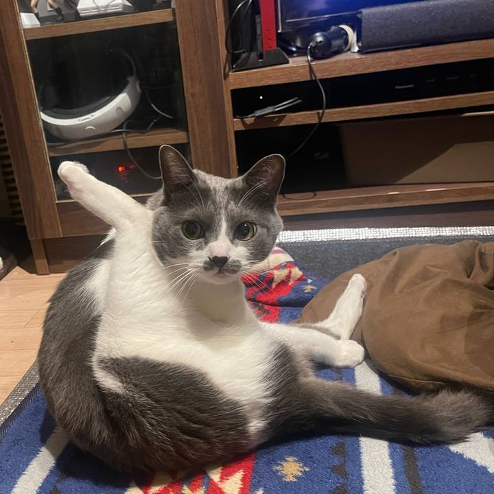 17a9b6f0 ac22 4b65 8ccf 1463fe6db8d5 1676741797063