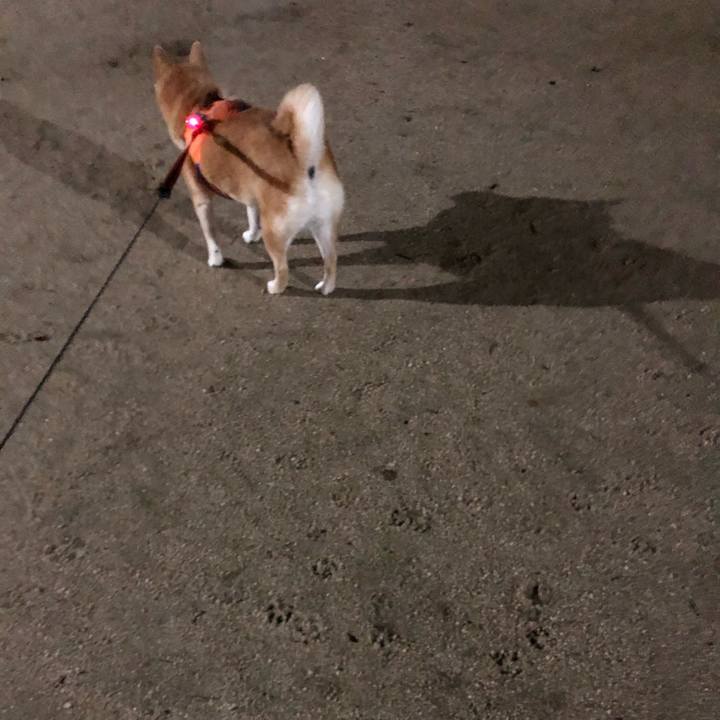 17a9ca26 999b 4ebb a414 e38c247eadf3 1583331056035