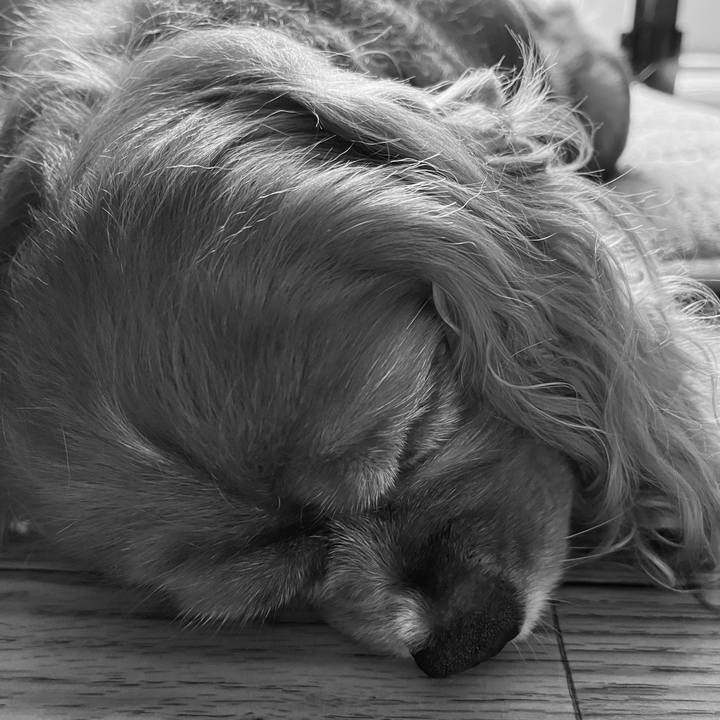 17a9e9f4 a8a7 4274 aa14 aa62d9aa6c0c 1656127531813