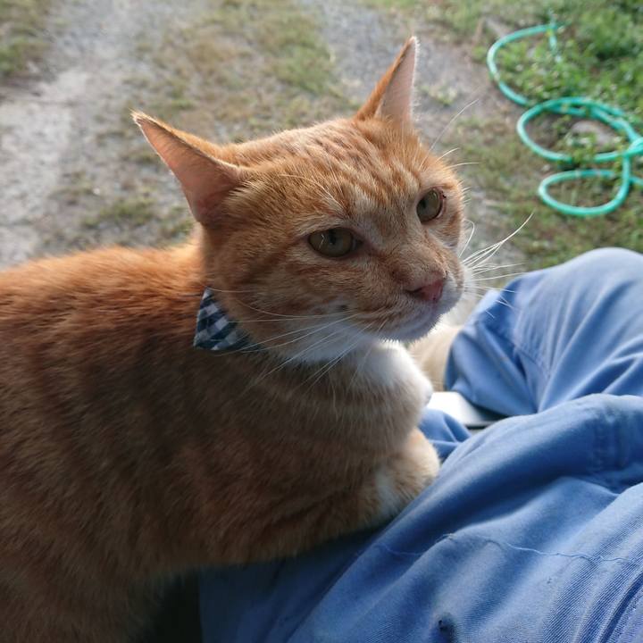 17a9ed94 dbbd 4ecf bcb0 aec62eed0e17 1569018364211