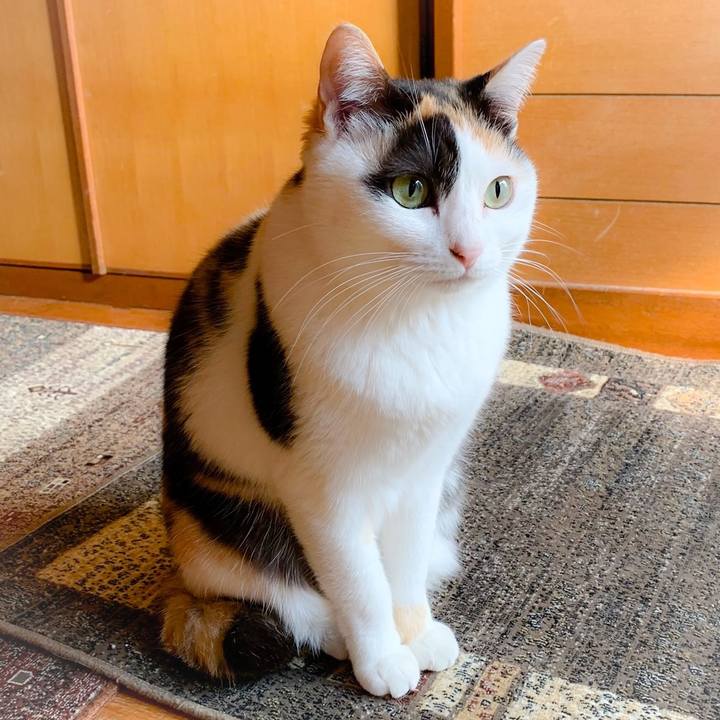 17a9f2e9 5c89 4fa9 b7bb d18195ccda36 1558231059134