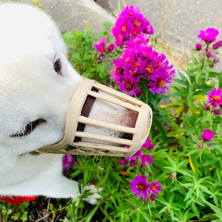 17a9fb4e 4522 4b86 97ea 5fd79586f2e3 1633554595161