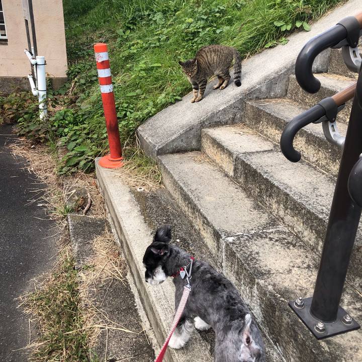 17aa10f9 3c55 416c a602 9814d0907b44 1603246160206