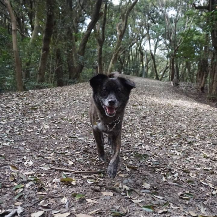 17aa17f9 6bc2 4370 97f6 23c21e29e60c 1524561416503