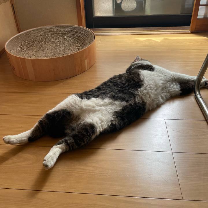 17aa37e0 3320 43f6 843c a38fd48cb0df 1683370415159