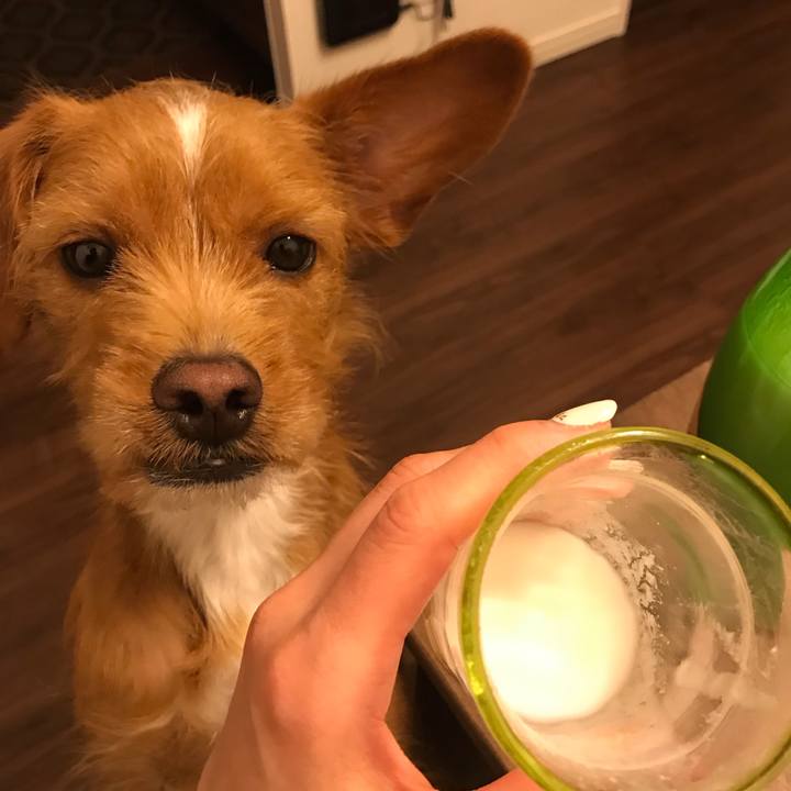 17aa4a15 c390 47fa 817a 1dfb51e64a0d 1548498983106