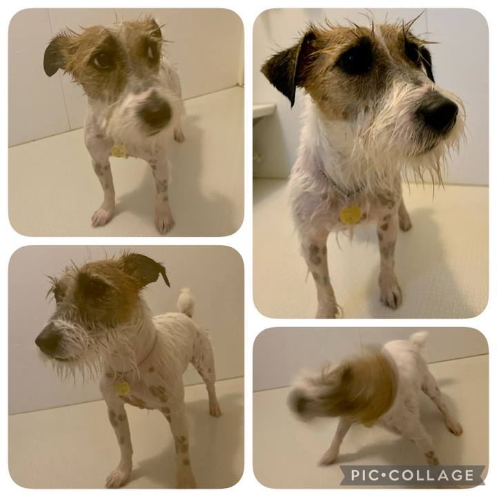 17aa9053 41d0 4f02 8b14 0e1bf3e78386 1614509433847