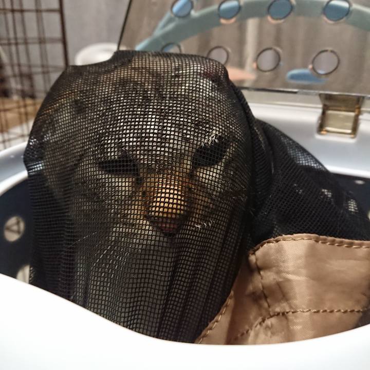 17aacfaa 2714 4198 9a31 2fbc784b9da9 1583572387742