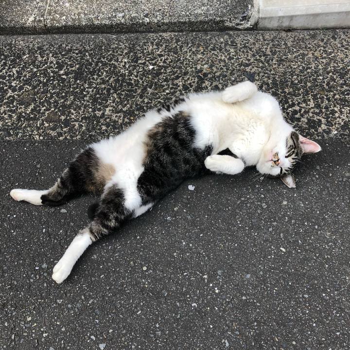 17ab1081 687c 4d8e 8639 dd160043d0d2 1602574312194