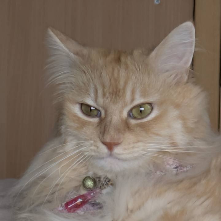 17ab1276 9b7f 41e4 9a2c e466f49023ba 1753577872825