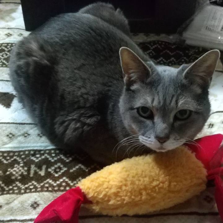 17ab194d 3046 4199 831a e53b5748b2f4 1740660232422