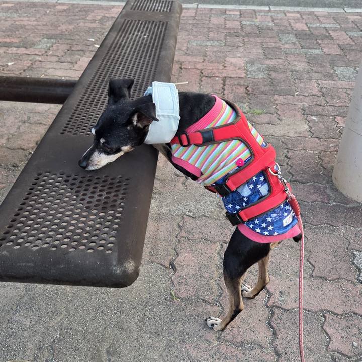 17ab281e f053 45af 8a87 f29764d31937 1754426569847