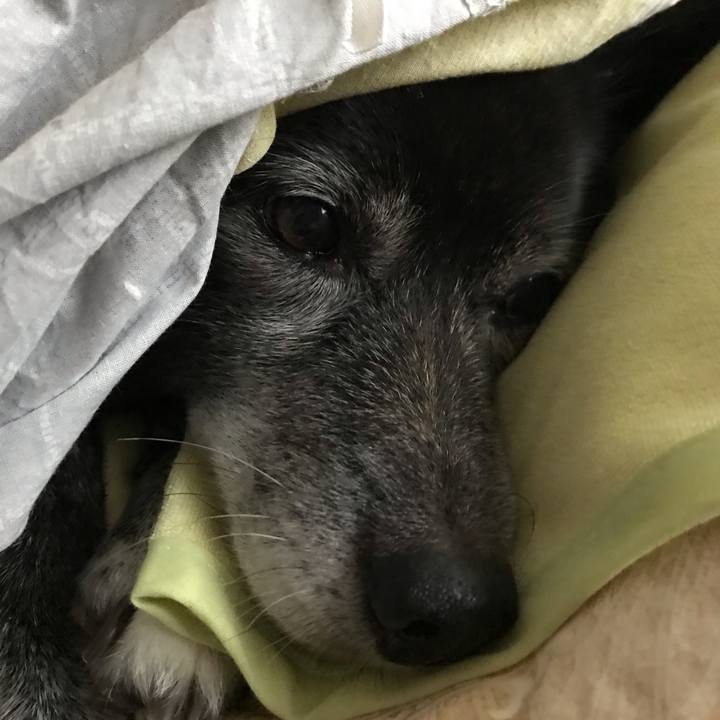 17ab2d10 b981 4f62 8592 89a08a2aacc2 1603455859060