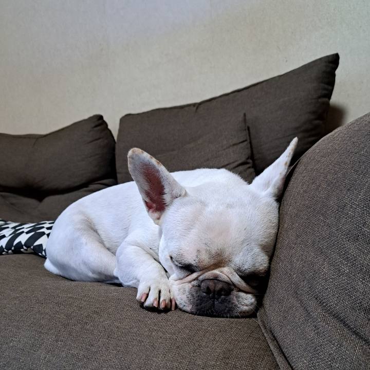 17ab2e16 9506 46ca 9bc2 c5080e51bad2 1697331268618