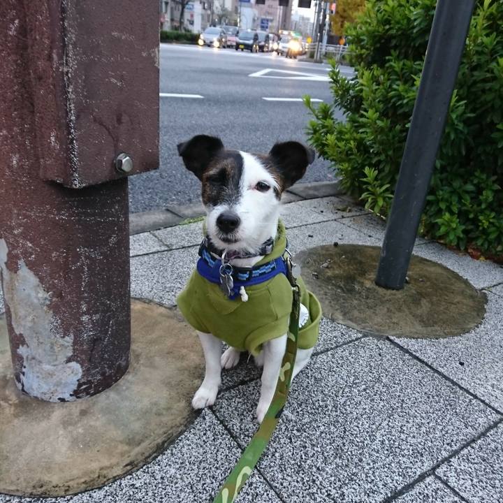 17ab3dfa f2b3 404f 9be3 be77a01c0632 1512079740090