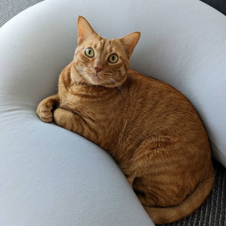 17ab4ac9 a945 49fb b747 e394f0dfaac8 1675912739376