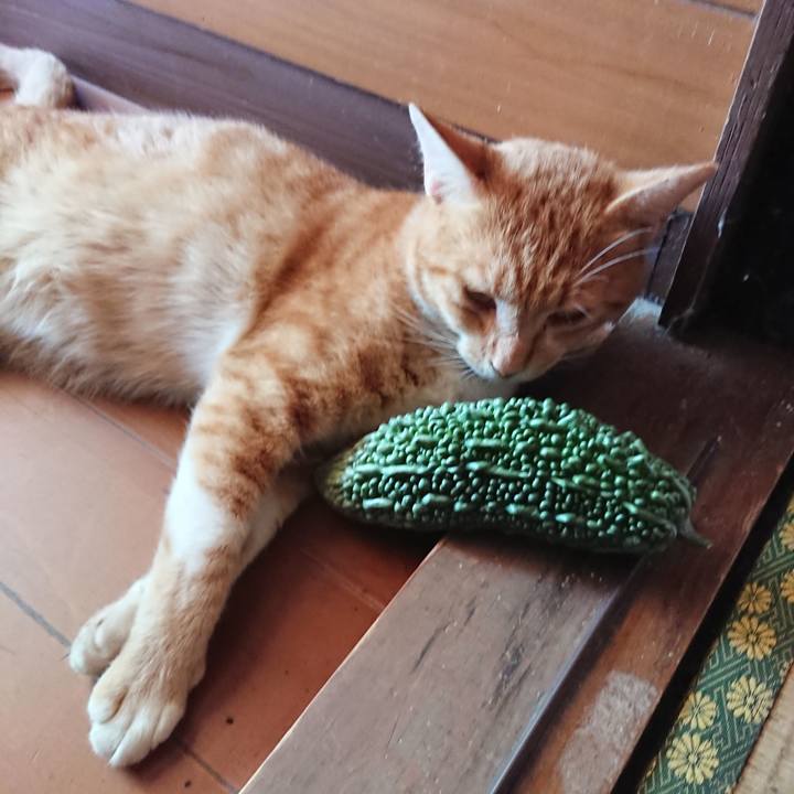 17ab550e cab7 4a00 83b7 6986f6d26c3c 1565746613903