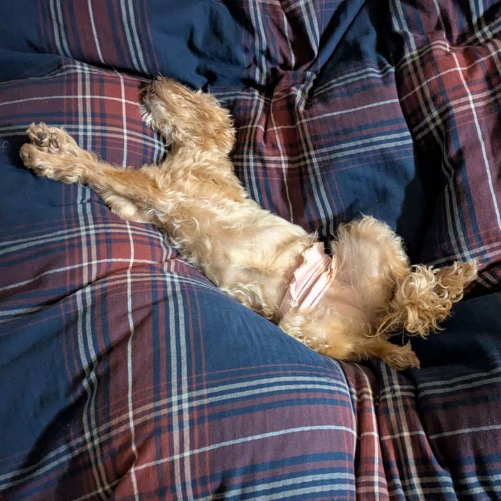 17ab5c0b 6344 4d0f b2f4 0f5cec1e6ecb 1772196407661