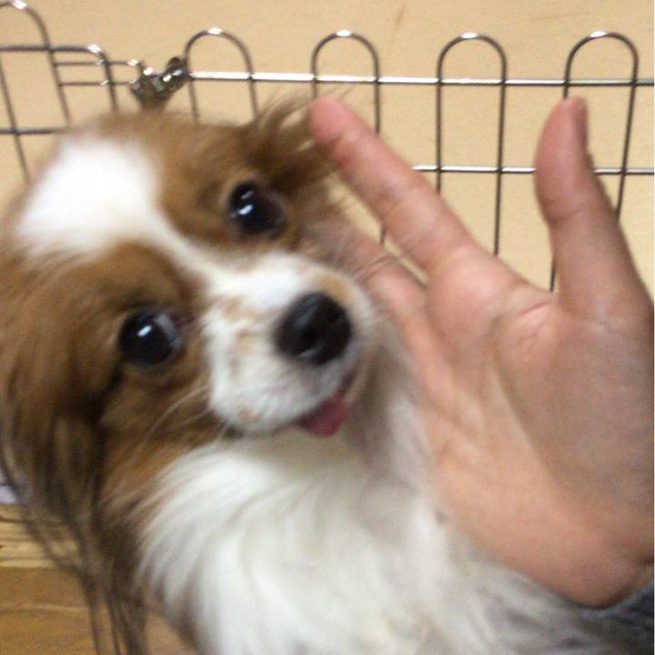 17ab7a5e ff4f 44bd ad81 cdee5f13668d 1517743294683