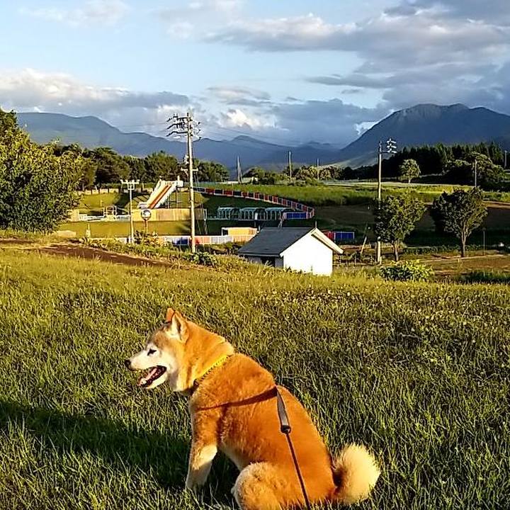 17ab9914 e25a 49b9 99ae 9d3d142d9cff 1691744486889