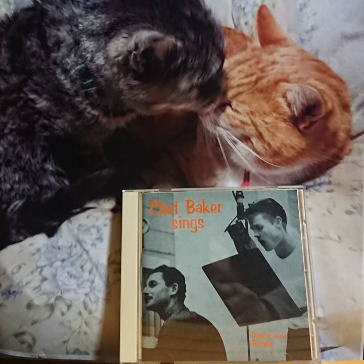 17aba92f 8495 40e6 8788 b49b71856773 1617883023737