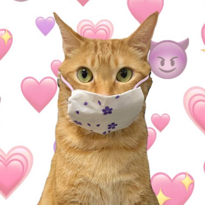 17abb1aa eb96 4f6d 853c 178677a044fb 1583586512210