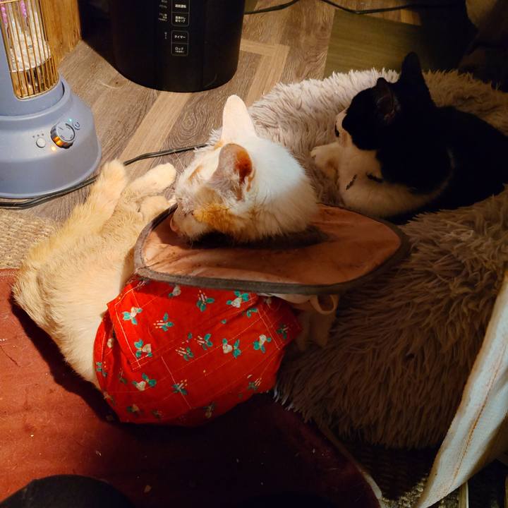 17abbc6d 75c5 4ba8 a35e e7037a027103 1766569558542