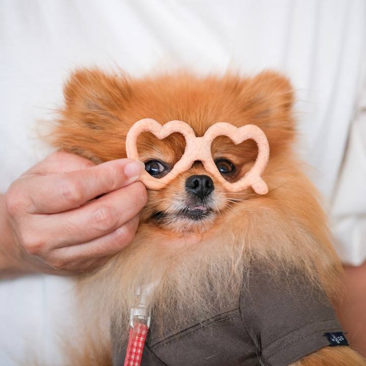 17abc8b1 c168 44d6 9726 bee8ca552c29 1567025546544