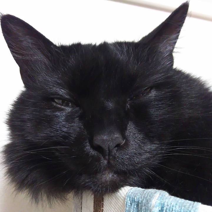 17abf88f f4ca 47c6 83eb 5d2854099387 1525858649807