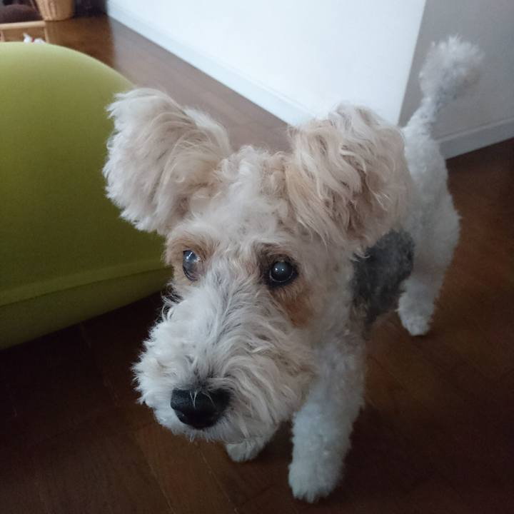 17ac0930 ffd7 4b7d 8c6a 129666fcb3d6 1587971485453