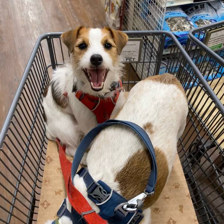 17ac67b7 4a63 4fd0 b4b3 ec945b07b77b 1676195200473