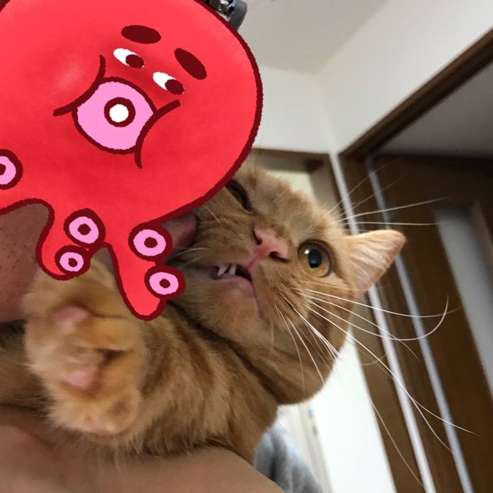 17ad2936 59d4 4f49 a5c2 0de63a2f7cff 1522323822803