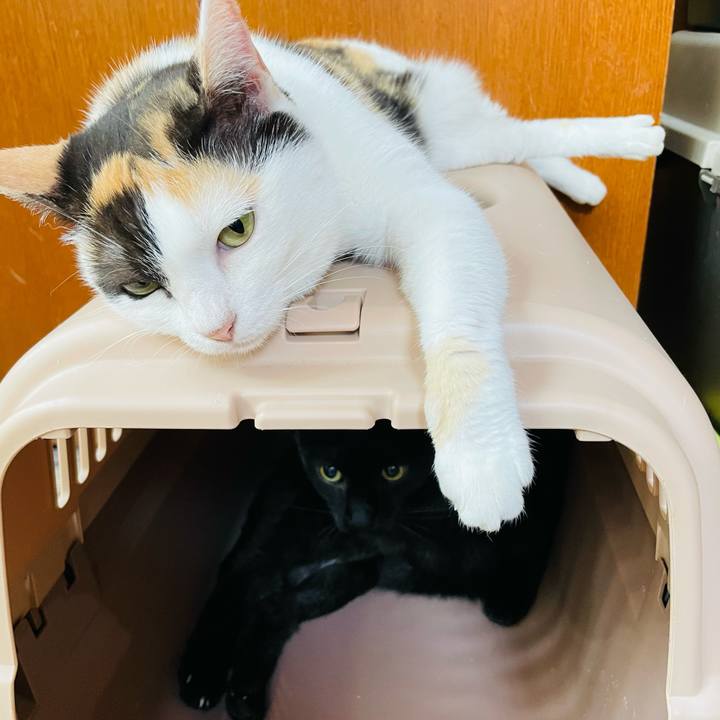 17ad3e6d abf3 4823 a7ea 54a604efe16c 1661480362223