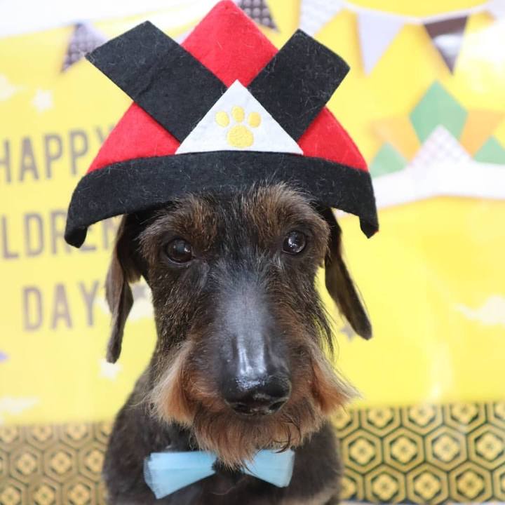 17ad46a0 5aa5 4e7e bd8c 7575f7c399ac 1620309510467