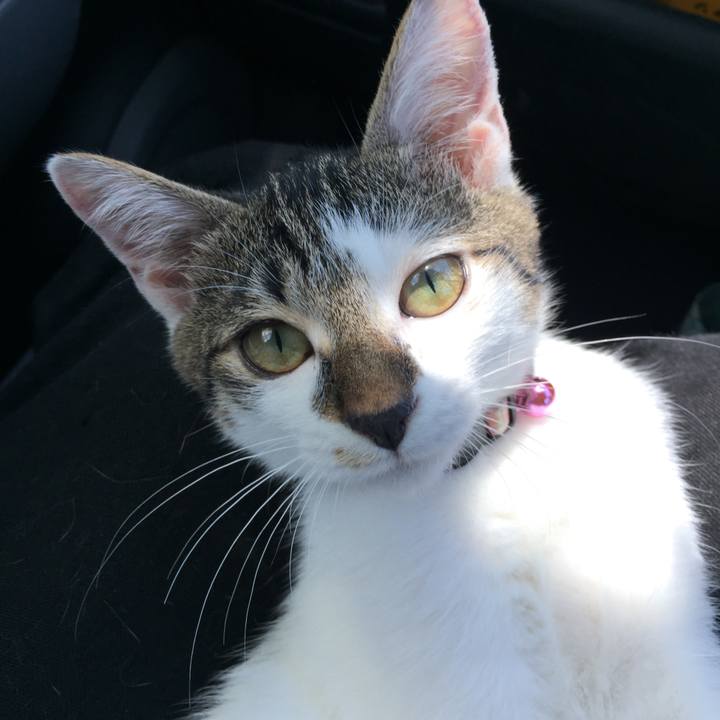 17ad4729 b224 4d13 ba89 7e545d9d47a4 1534130507959