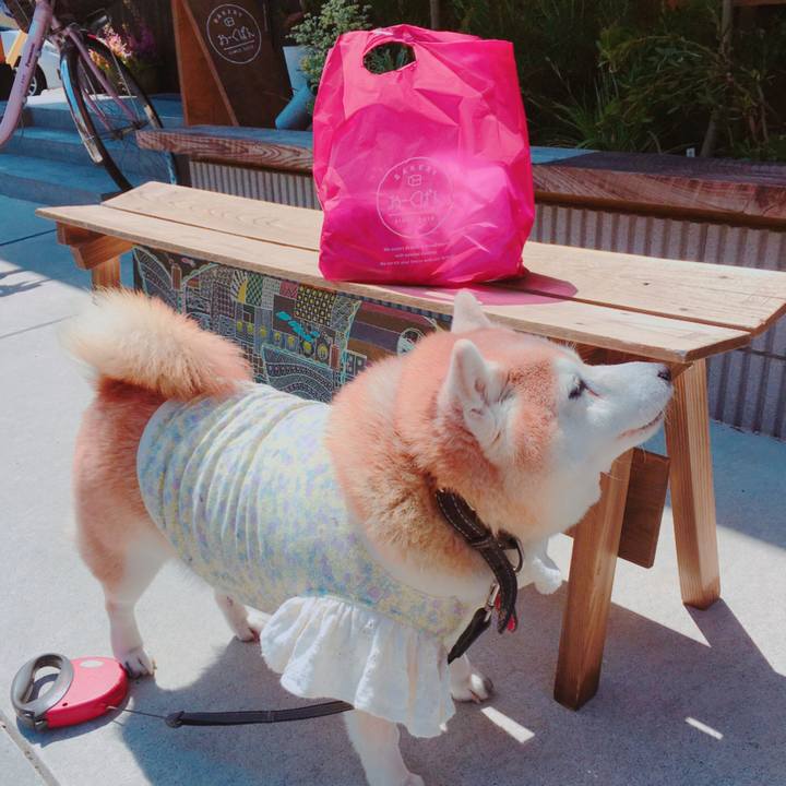 17ad684c 880c 4eba 98f5 89b8213e7946 1586582373274